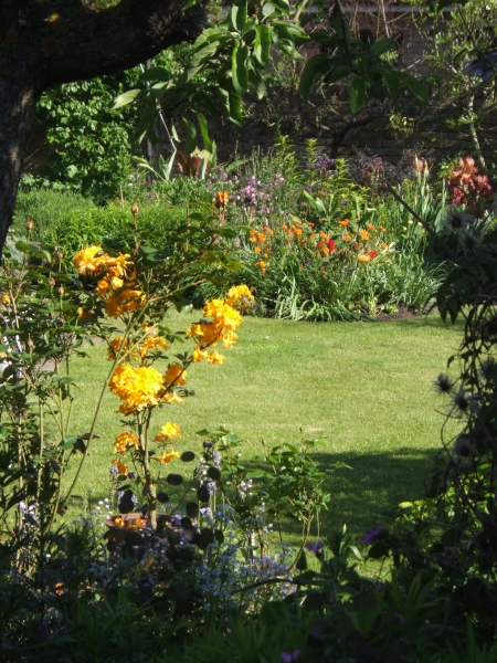 Ely Open Gardens